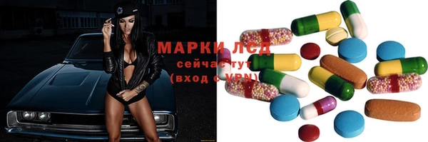 спиды Аркадак