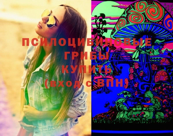 прущая мука Арсеньев