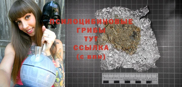 спиды Аркадак