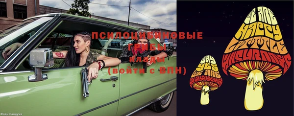 спиды Аркадак
