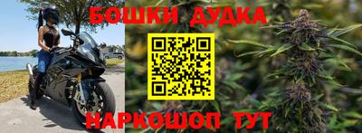 стаф Бузулук