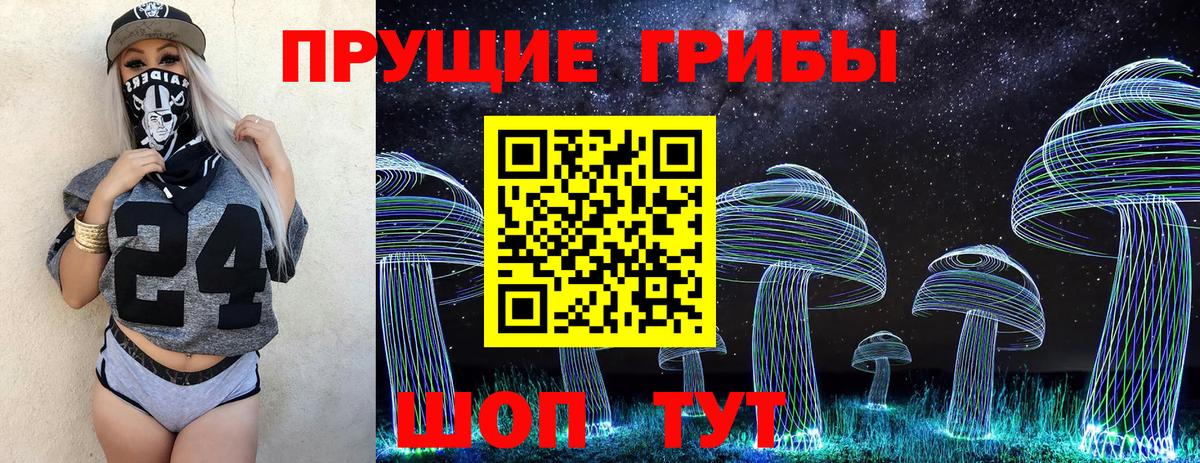 где купить   Псилоцибиновые грибы мицелий  Вход с VPN  Горячий Ключ 