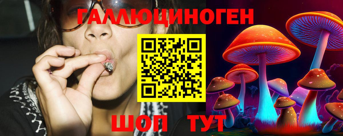 Псилоцибиновые грибы Cubensis Горячий Ключ